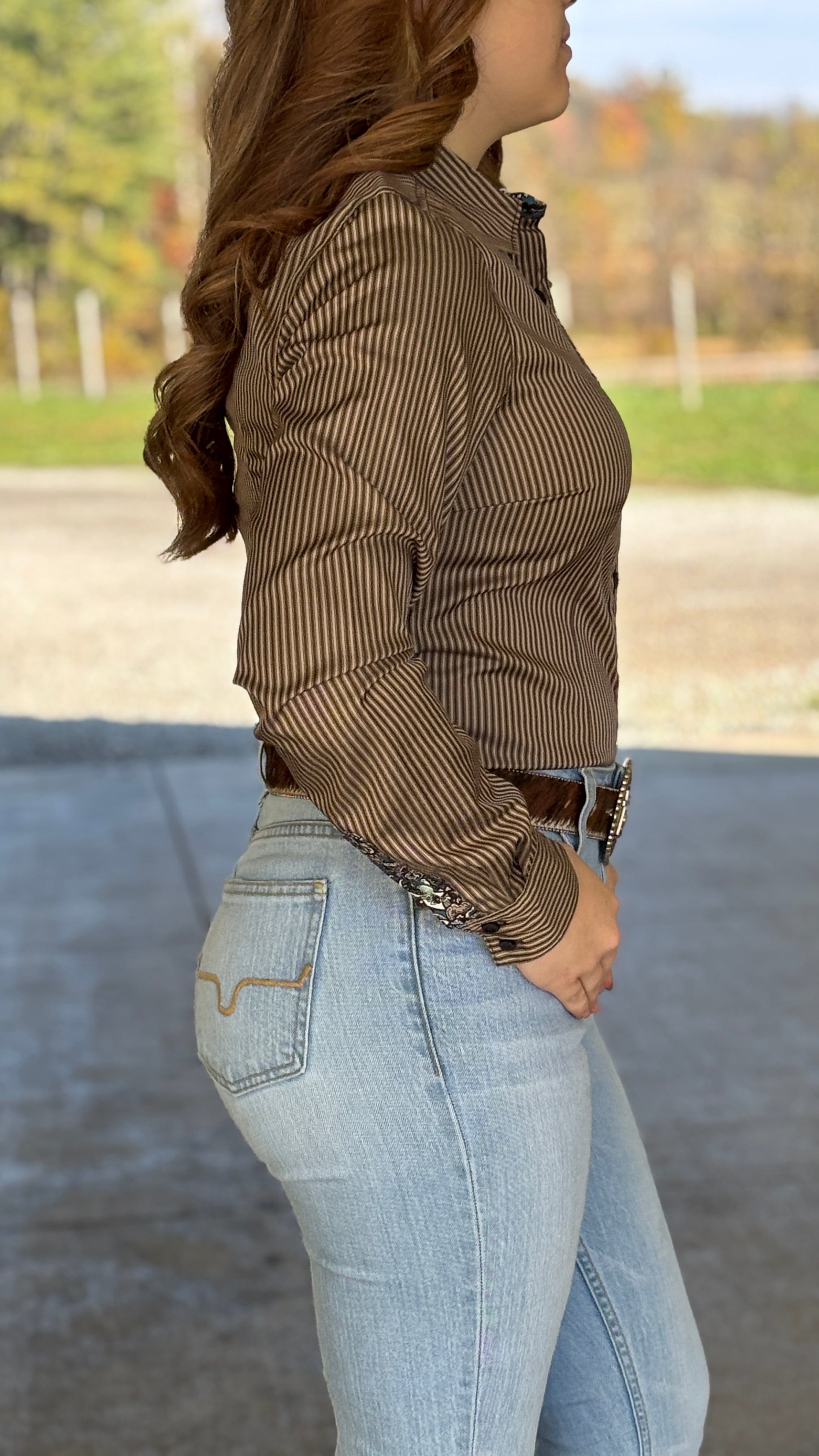 Ladies Striped Cinch ~ Brown - Henderson's Western Store