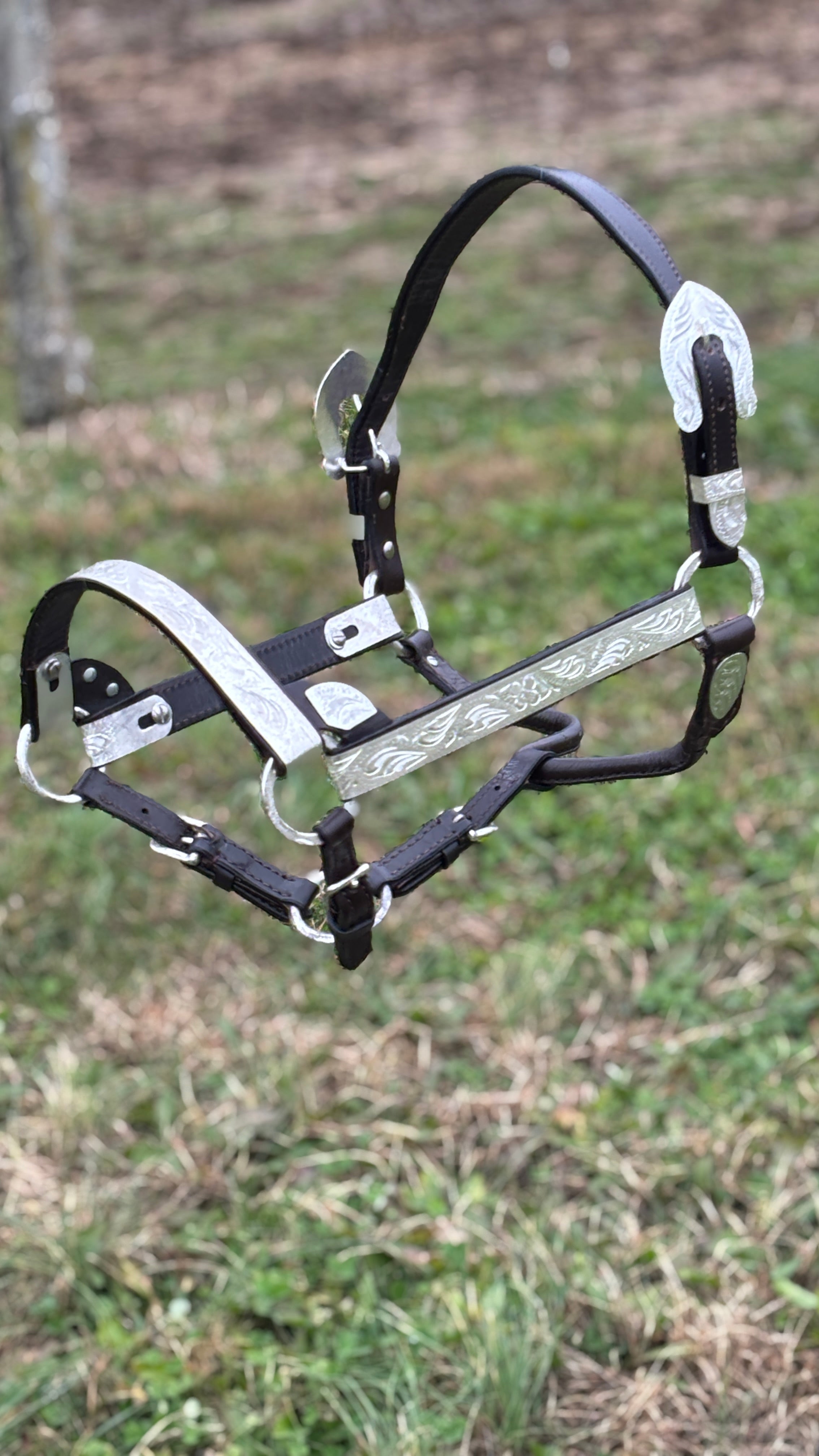 Show Halter ~ Silver Engraved - Henderson's Western Store