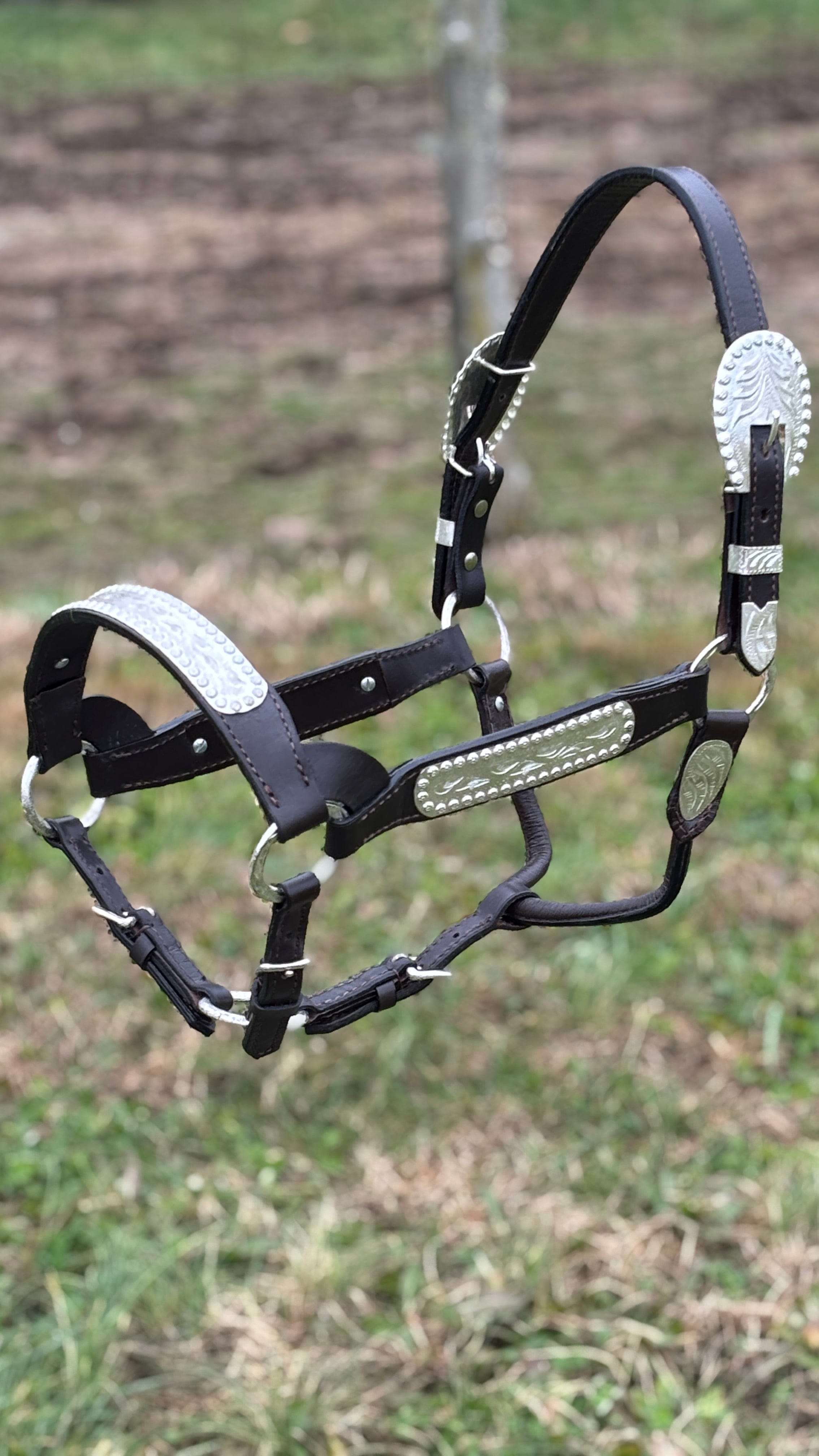 Show Halter ~ Horse - Henderson's Western Store