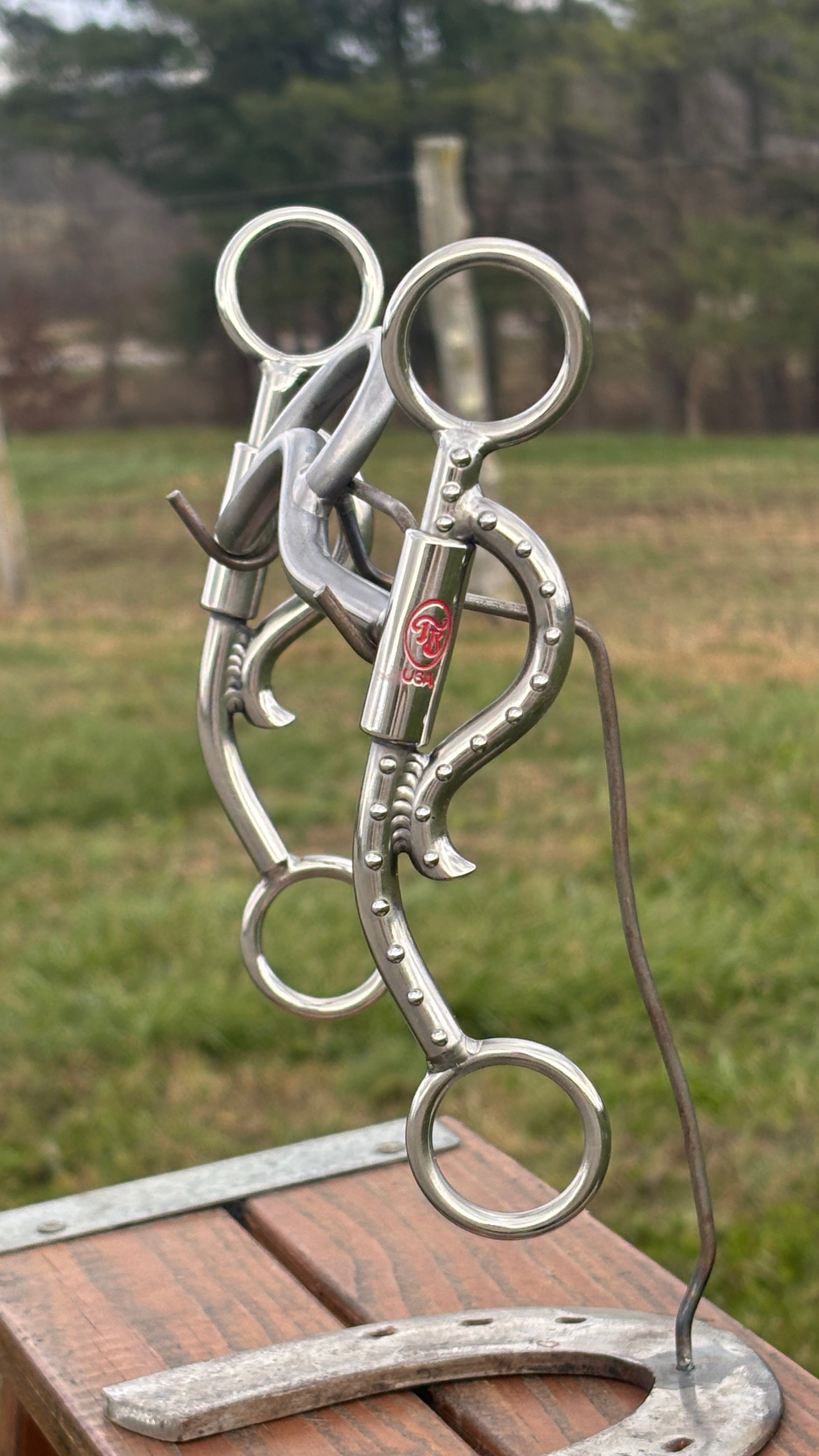 Short Horn Horizon - Henderson's Western Store