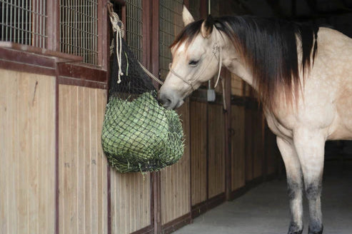 Hay Chix Half Bale Net ~ 2 1/2" - Henderson's Western Store