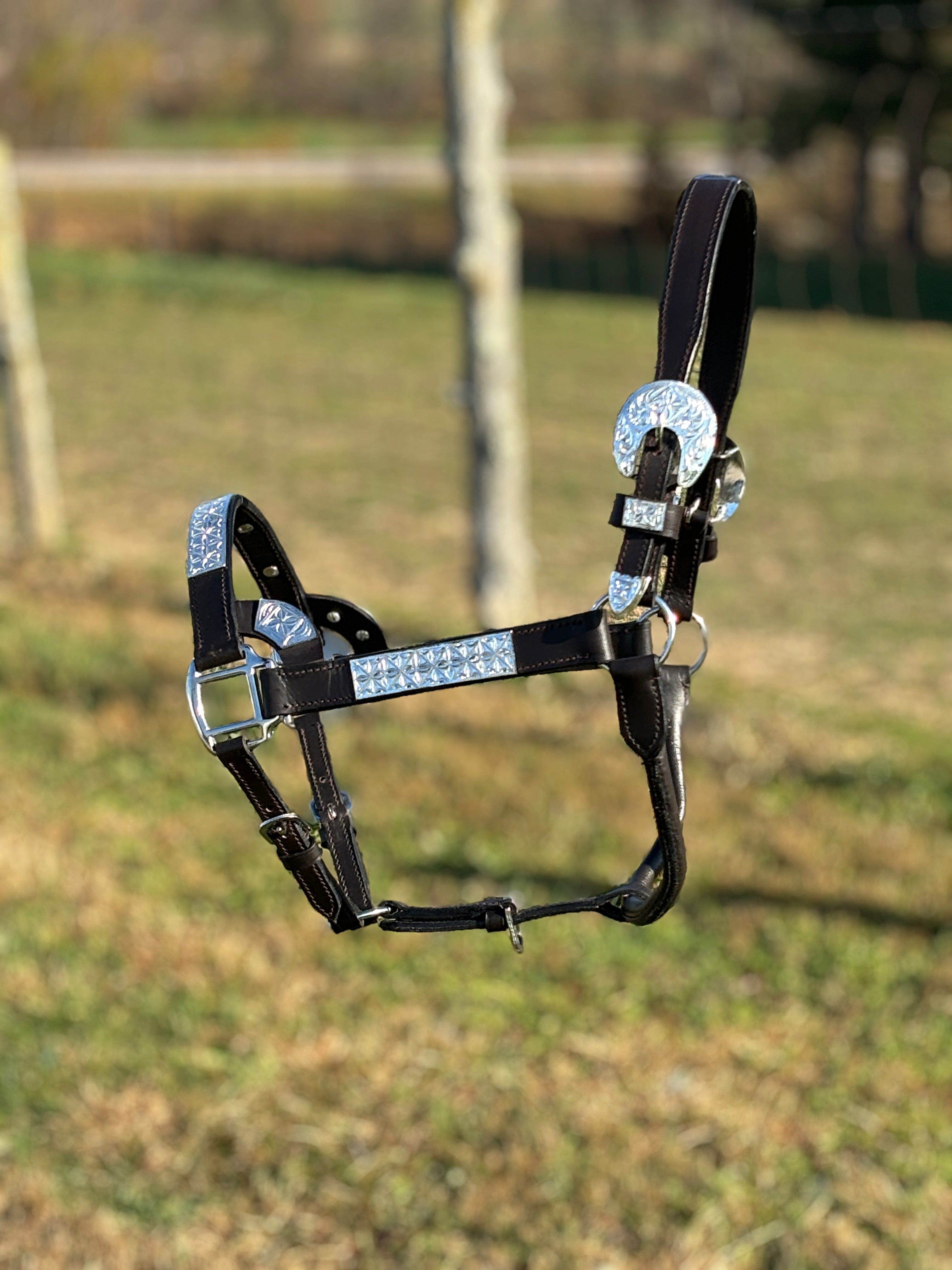 Dark Leather Show Halter ~ Silver Bar - Henderson's Western Store