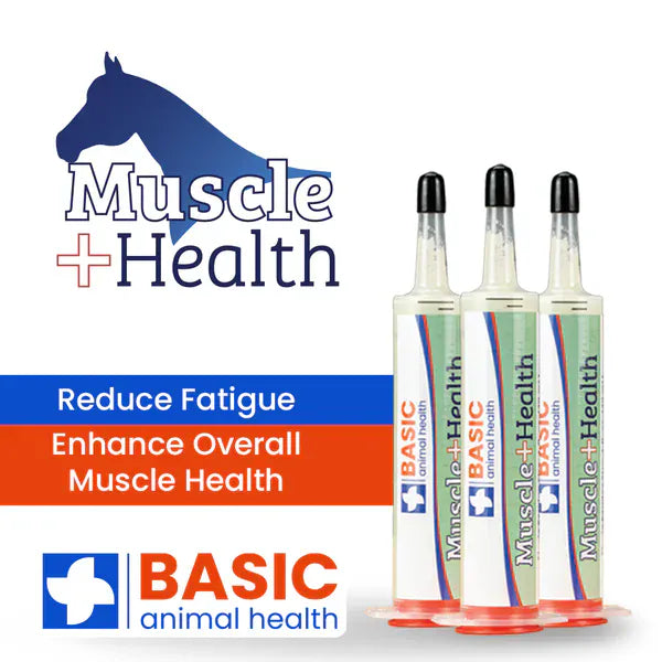 MuscleHealth Gel Supplement for Horses - Henderson's Western Store
