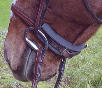 Curb Chain Channel - Henderson's Western Store