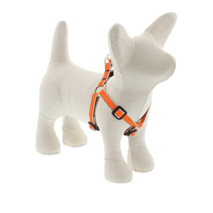 Digby & Fox Dog Harness ~ Orange - Henderson's Western Store