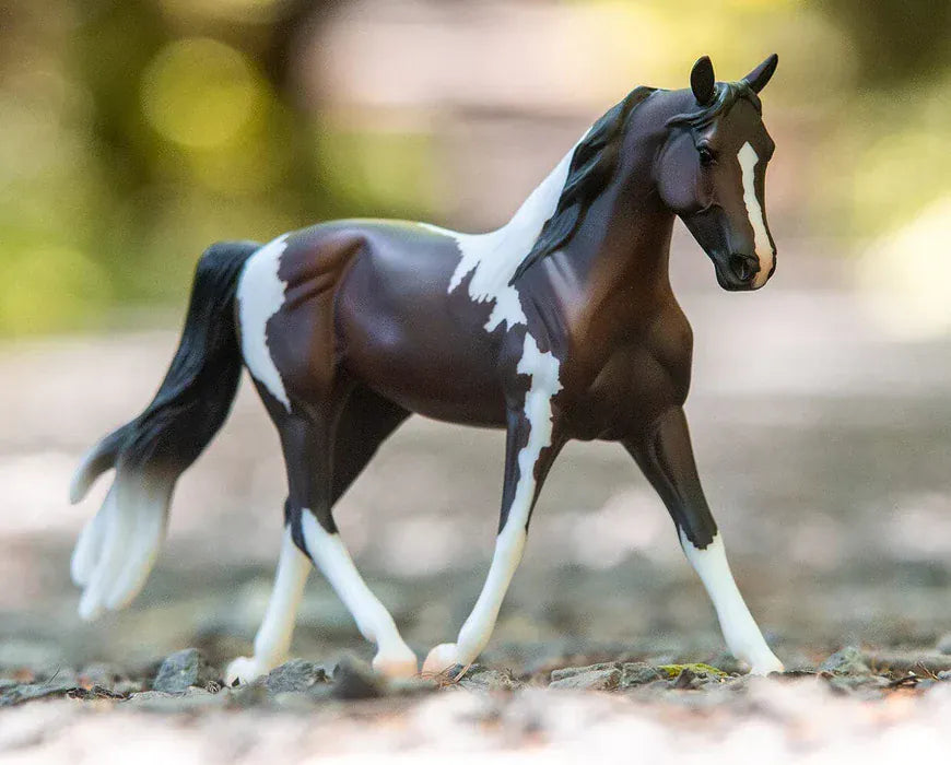 A Horse of My Very Own~Pinto - Henderson's Western Store