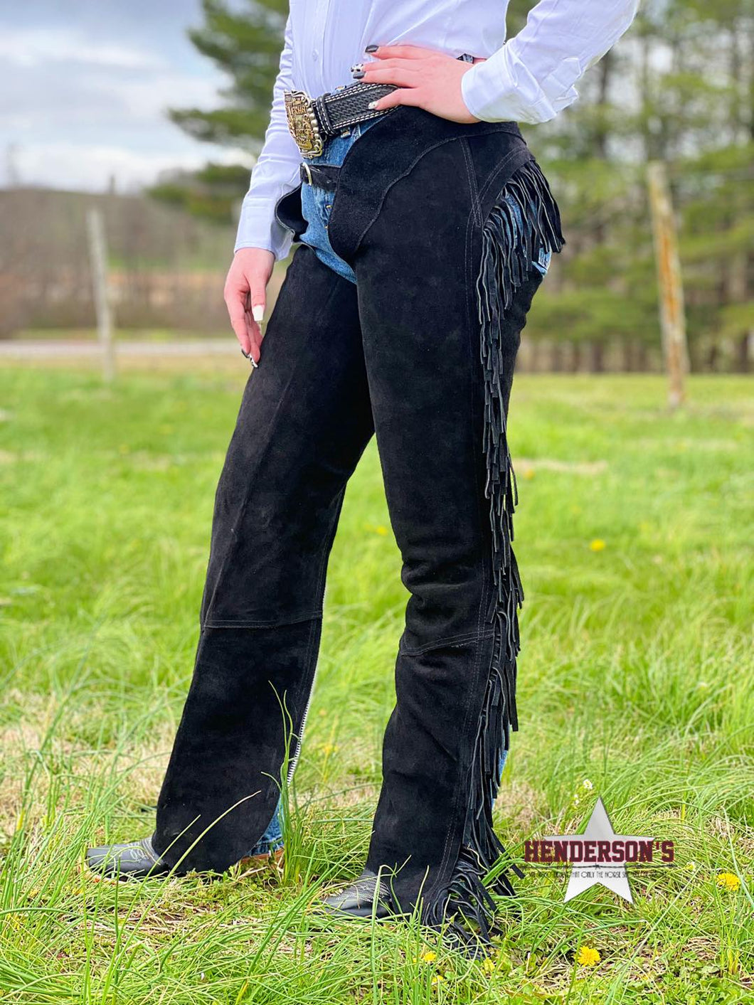 Suede Equitation Chaps ~ Black - Henderson's Western Store