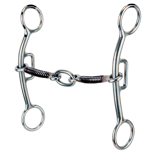 Sharon Camarillo Plus Bits reinsman