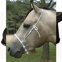 Partrade Halters