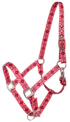 Premium Nylon Halter ~ Circles halter shiloh