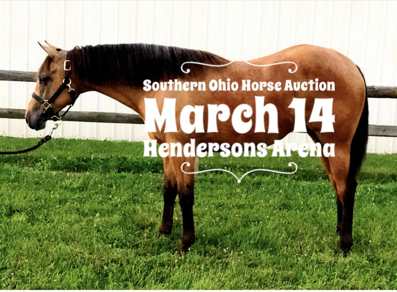 Southern Ohio Horse Sale