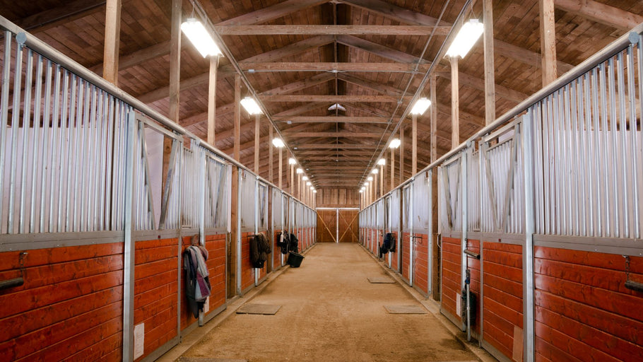 Using Your Barn Time To De-Stress