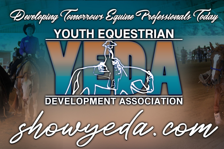 Making Strides with Riding Programs for Young Equestrians