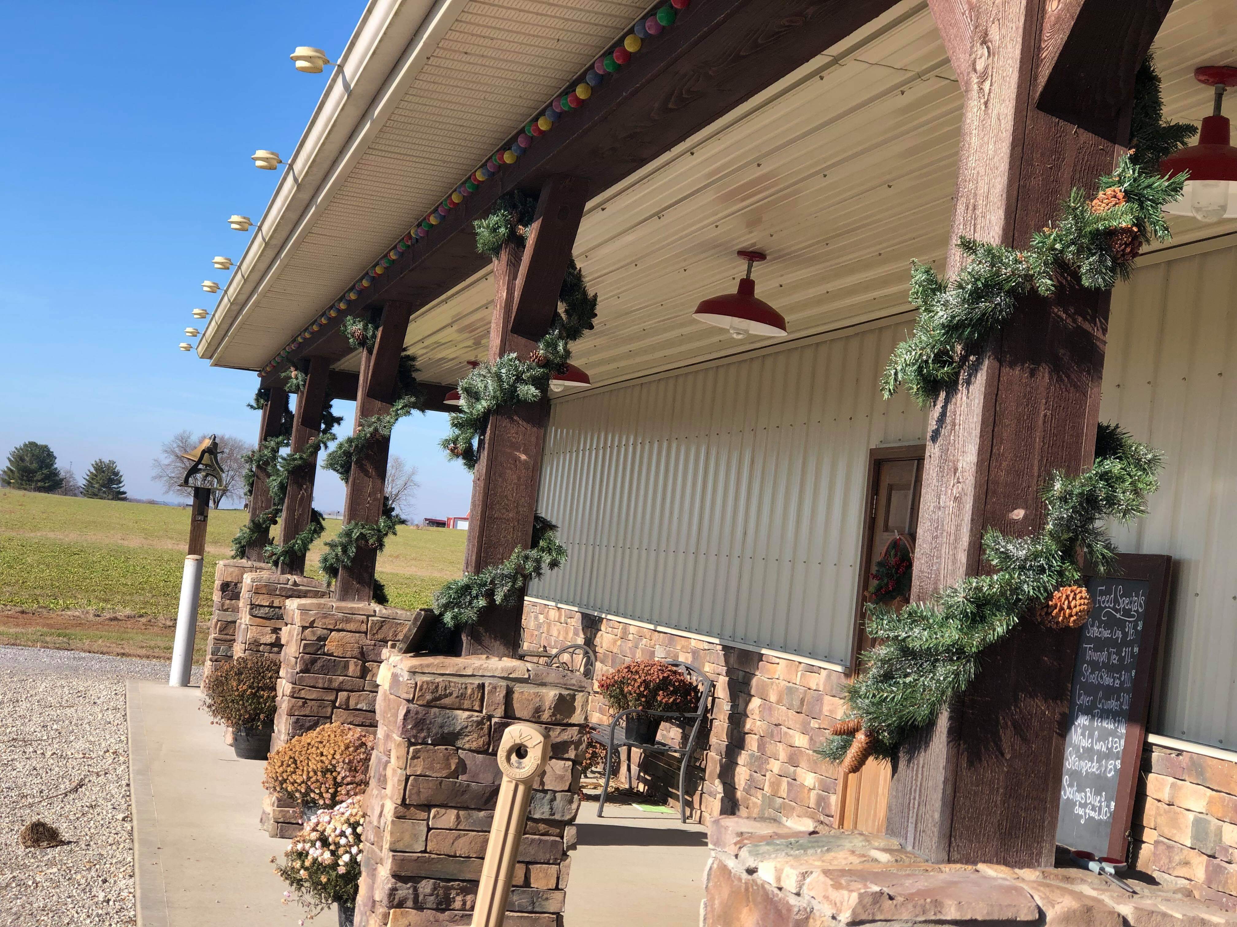 Black Friday Blowout