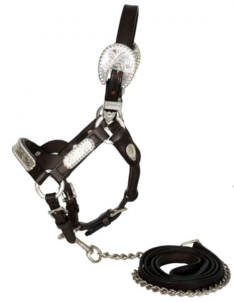 Show Halter ~ Mini - Henderson's Western Store