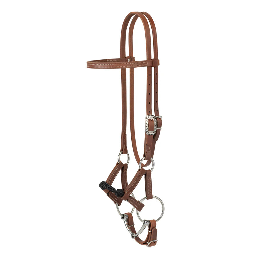 Kalley Krickeberg Horseman's Bridle - Henderson's Western Store