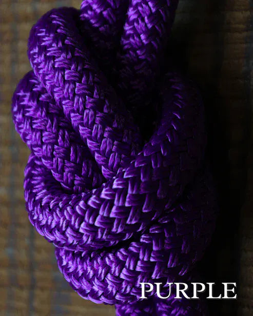 Timeless Collection Lead Ropes~ Purple Snap - Henderson's Western Store
