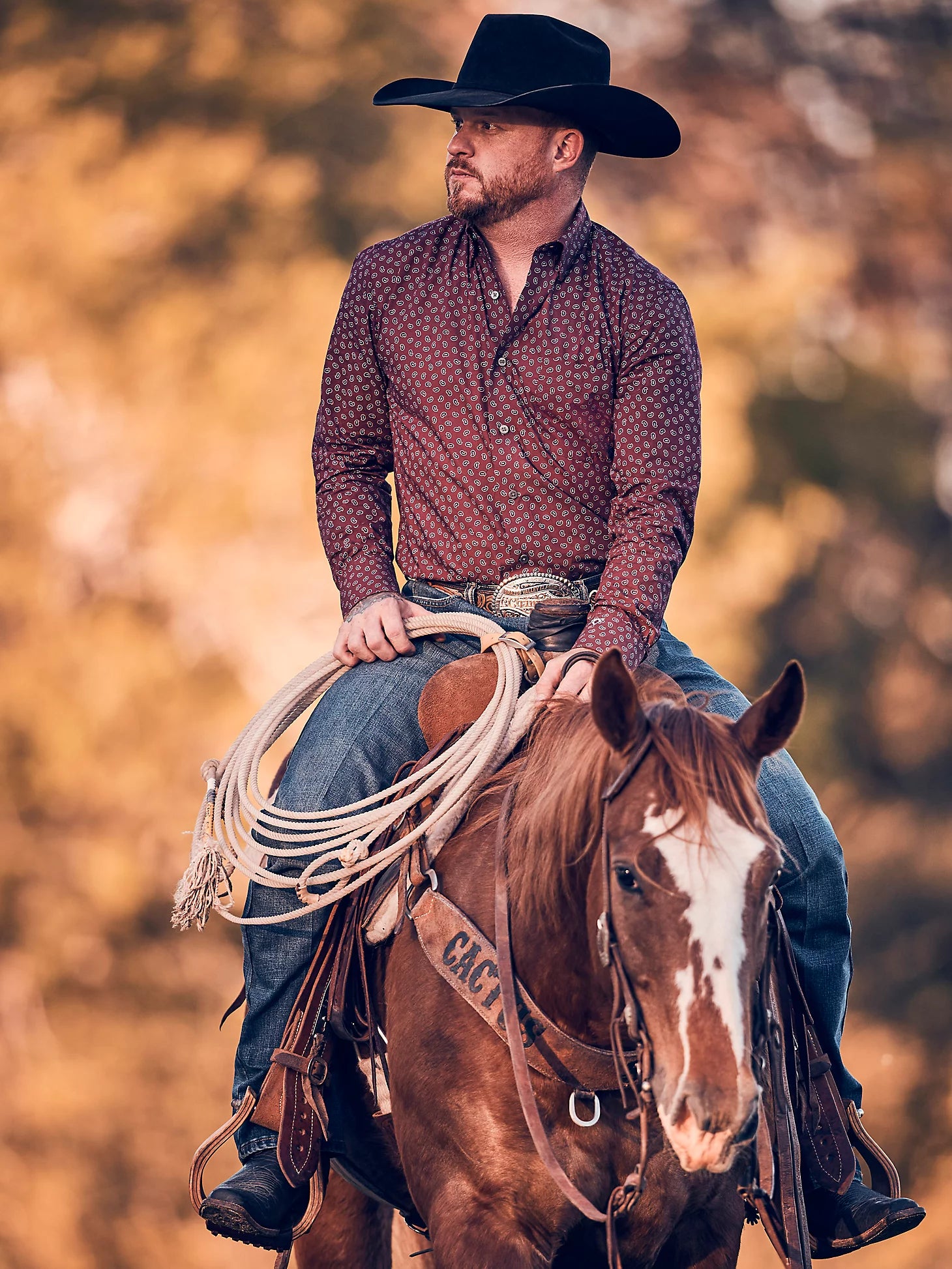 Cody Johnson Button Down by Wrangler - Henderson's Western Store