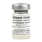 RJ Mathews
