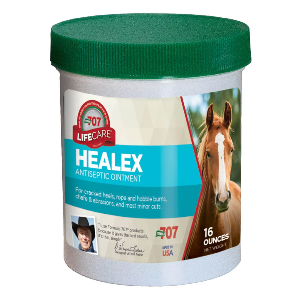 Healex Antiseptic Ointment - Henderson's Western Store