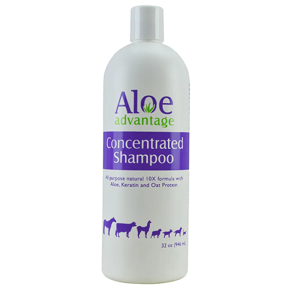Aloe Advantage Concentrated Shampoo - Henderson's Western Store