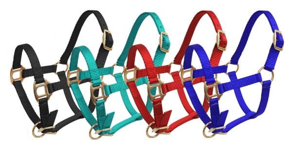 Nylon Halters ~ Foal/Mini - Henderson's Western Store