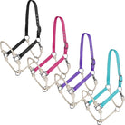 Shiloh Halters