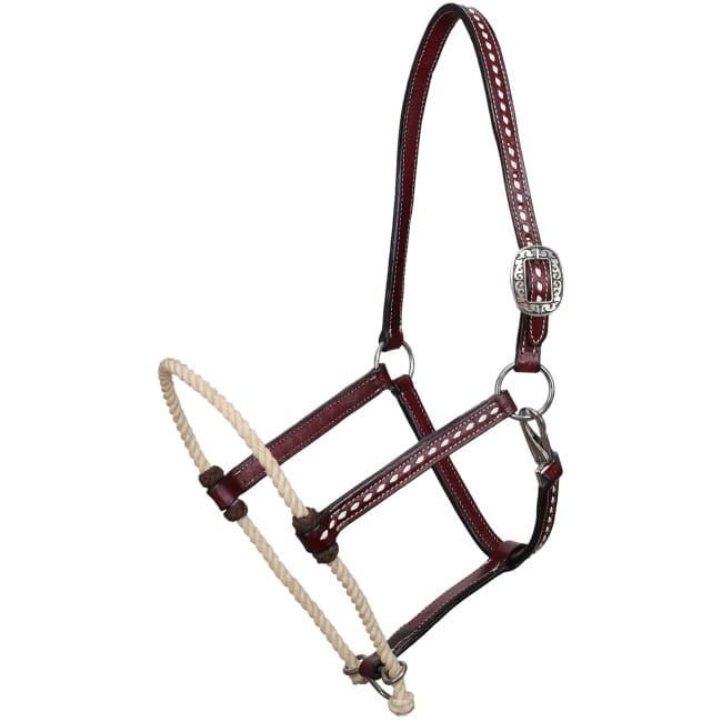 Shiloh Halters