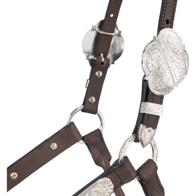 Royal King Show Halter ~ Berry Edge - Henderson's Western Store