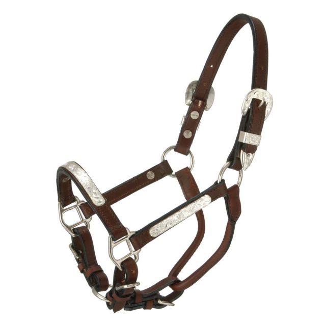 Royal King Show Halter ~ Pony - Henderson's Western Store