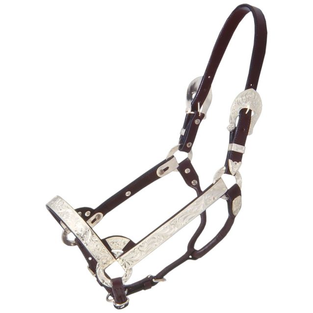 Royal King Show Halter ~ Yearling - Henderson's Western Store