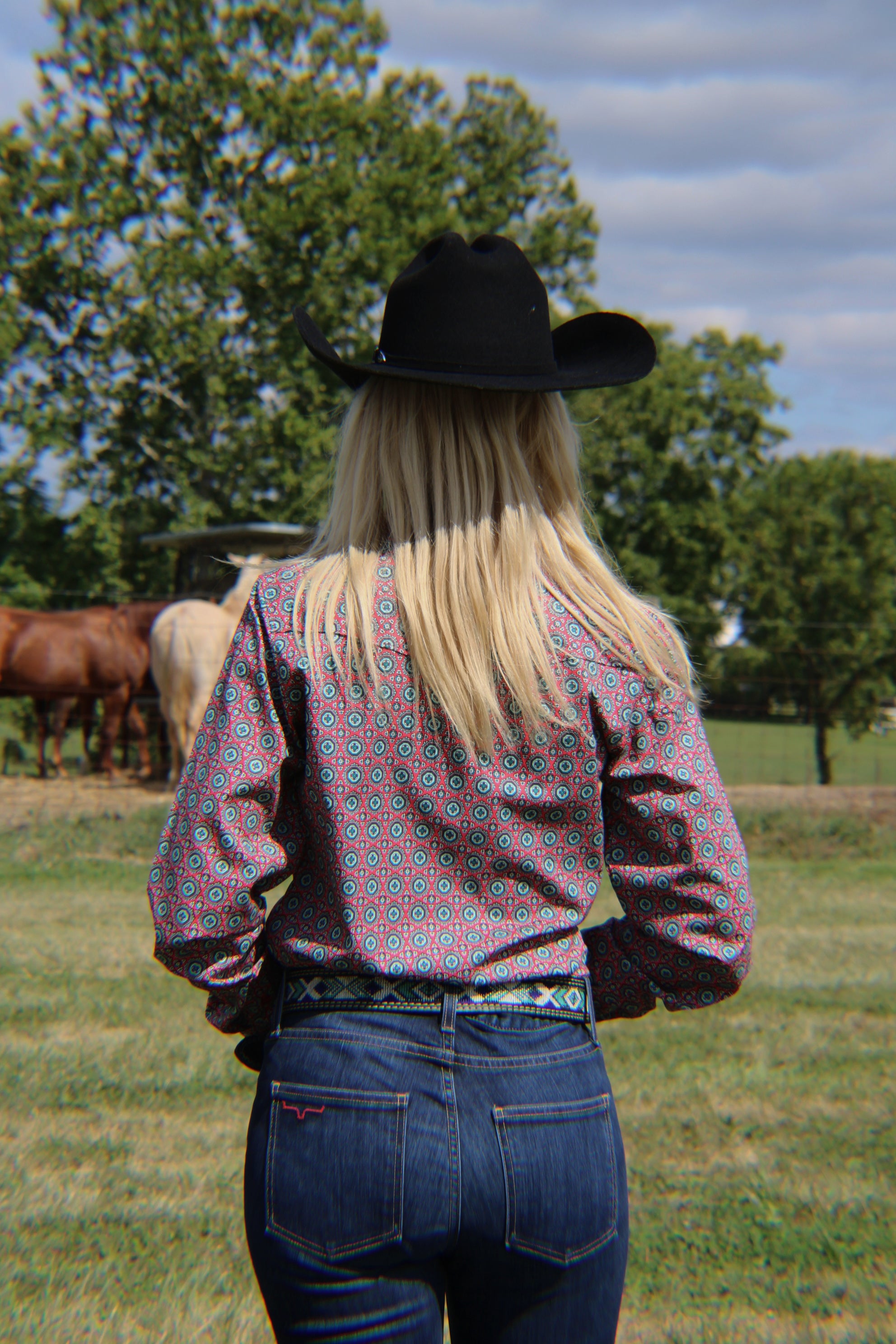 Ladies Cinch  ~ Chrysanthemum - Henderson's Western Store