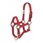 Nylon Halter ~ Suckling - Henderson's Western Store