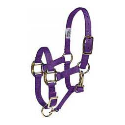 Nylon Halter ~ Suckling - Henderson's Western Store