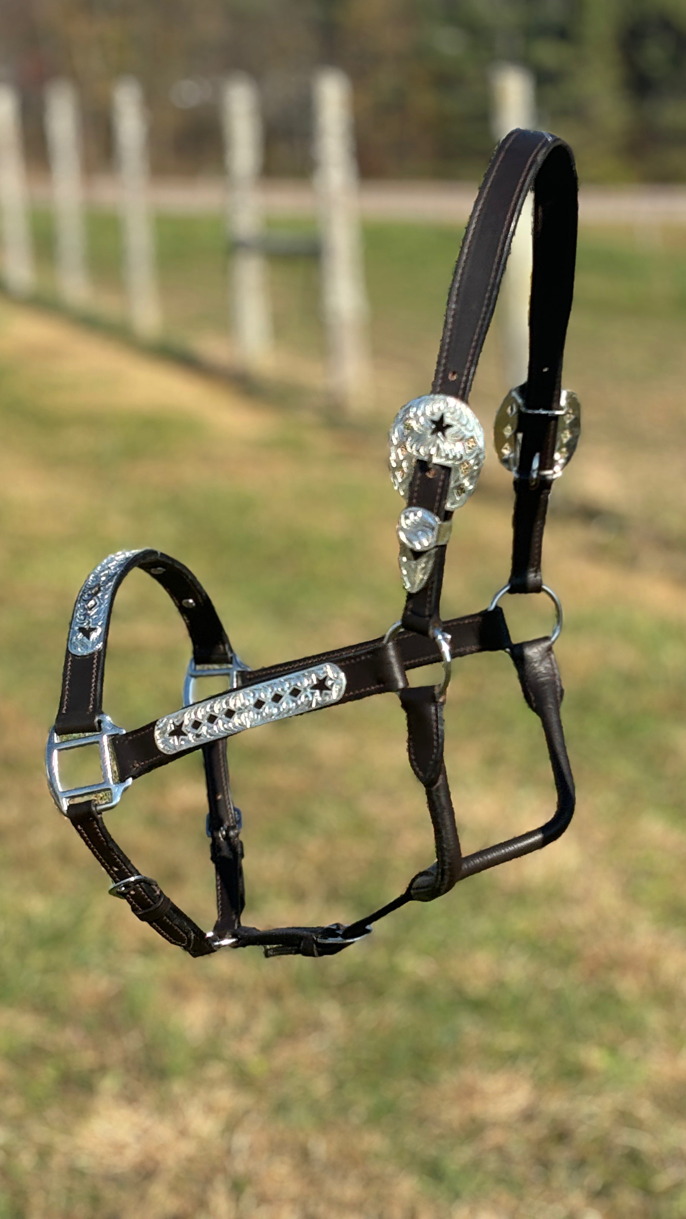 Dark Leather Show Halter ~ Stars & Diamonds - Henderson's Western Store
