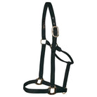 Big "D" halter