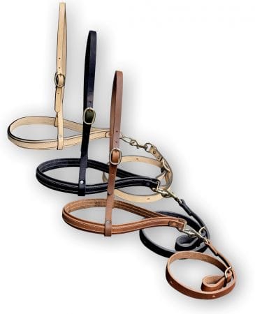shiloh Tie Down