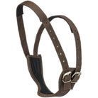 JT International Barn Equipment