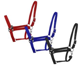 shiloh halter