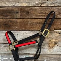 Big "D" halter