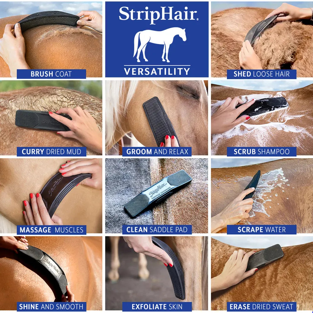 RJ Mathews Grooming