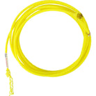 Classic Equine Roping