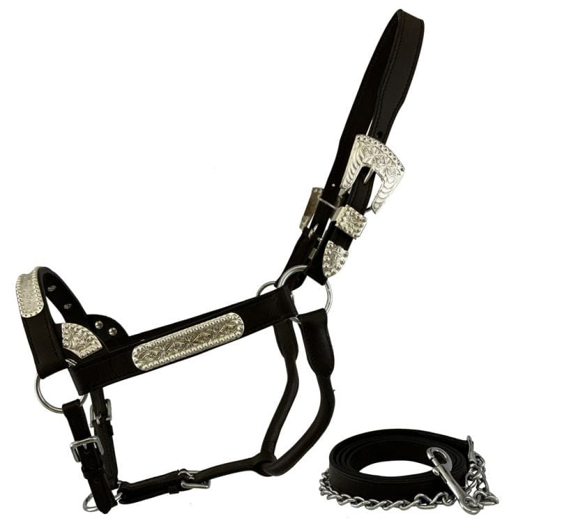 Shiloh Show Halters