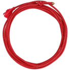 Mustang Roping