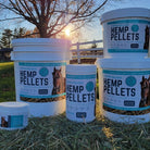 The Healing Cowgirl Barn Equipment
