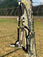 Shiloh Show Halters