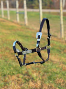 Shiloh Show Halters