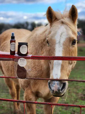 Mcintire Saddlery candle