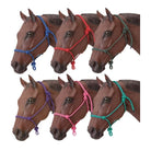 JT International Halters