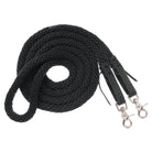 JT International Reins